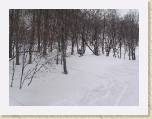23-03-05-Andy&Nay-AikoSnowboarding-Japan 224 * 2048 x 1536 * (680KB)